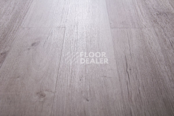 IVC Primero (Сlick) IVC Primero 22139N фото 4 | FLOORDEALER